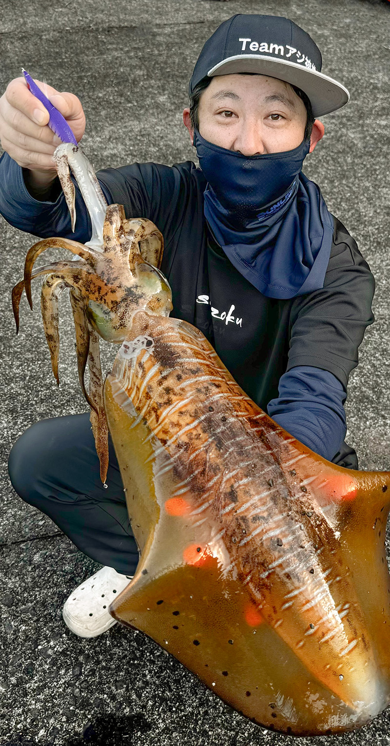 「墨族 エギ ノーマルタイプ｜アジ神スペシャルカラー」を使って釣り上げたアオリイカの写真